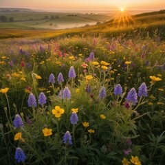 Obraz premium Blooming Meadow at Dawn 