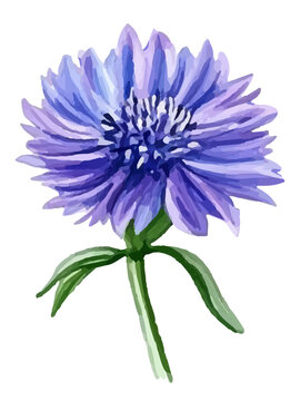 FloPY.eps