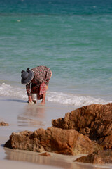 an elderly woman collects shellfish on the coast on Koh Samet