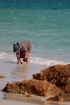 an elderly woman collects shellfish on the coast on Koh Samet