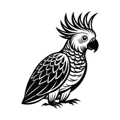 A cute parrot silhouette