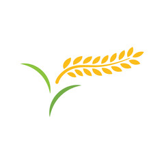 Paddy Logo Template Icon
