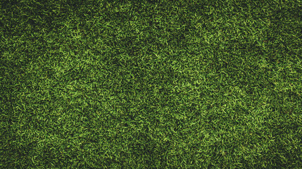 Fototapeta premium Fresh and lush grass covering a sunny outdoor area ideal for recreation or relaxation