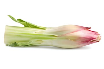 Fresh Vegetable: Cardoon, a Culinary Delight