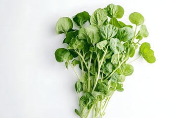 Fresh Watercress: A Green Delight