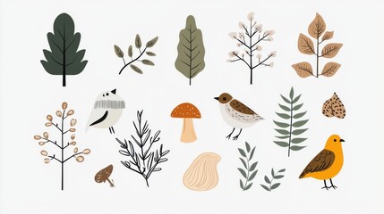 Autumn Nature Leaves and Plants