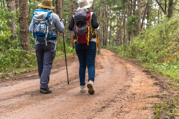 Back view trekking man and woman with hiking poles walking in dirt trail in forest