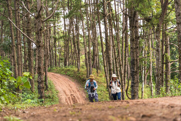 Obraz premium Asian man and woman hikers with hiking sticks walking in dirt trail