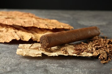 Dried tobacco leaves and cigar on grey table, closeup