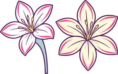Two Leschenaultia Flower Watercolor Vector Illustration Design
