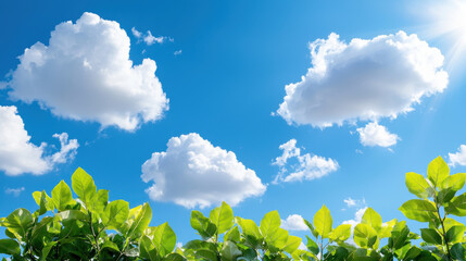 Lush green leaves against bright blue sky with fluffy white clouds create serene and refreshing atmosphere. vibrant colors evoke sense of peace and tranquility