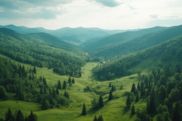 Fototapeta premium Majestic carpathian mountains landscape romania nature photography lush green valleys aerial view scenic serenity