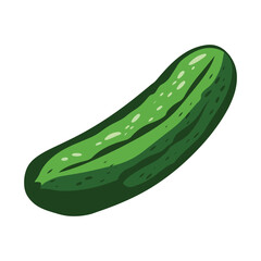 Pickled cucumber vector illustration. Simple and isolated design.