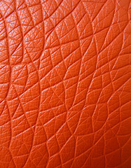 Close up brown leather texture background, colorful, with white tones