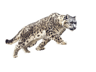 Snow leopard prowling in the snowy mountains