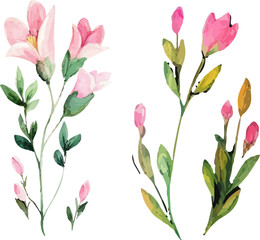 Obraz premium pink and white tulips