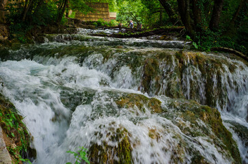 waterfall in the forest