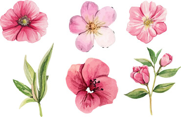 set of pink flowers