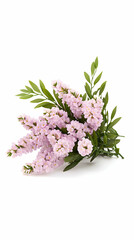 Pink flower bouquet, studio shot, white background, floral arrangement, greeting card design.