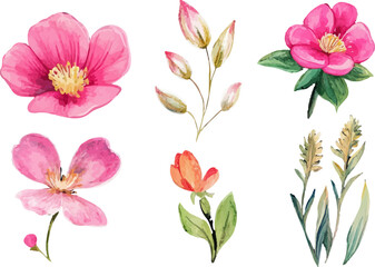 pattern with flowers