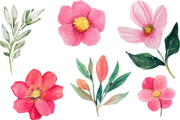 collection of flowers