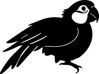a parrot item vector art