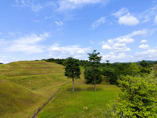Rolling Green Hills under Blue Skies
