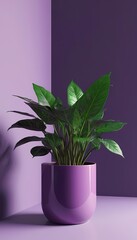 Vibrant Indoor Plant in Purple Pot Against a Minimalistic Purple Wall
