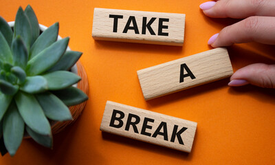 Take a break symbol. Concept words Take a break on wooden blocks with succulent plant. Businessman...