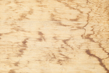 Natural old wood texture macro closeup