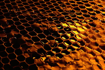 abstract honeycomb background with golden honey drips