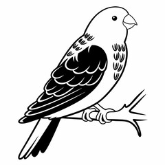 illustration of a bird