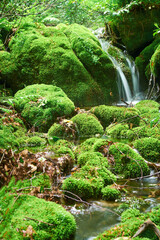 Beauty landscape concept for cosmetics product presentation with empty stone platform covered with green moss on the forest background and water. Blank space to place mockup or your design