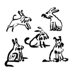 A set of hand-drawn ink illustrations of schnauzer dogs in various poses. The naive black doodle style highlights simplicity and whimsical charm.