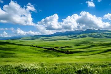 Obraz premium Empty green meadow with moutains in the background, grass field with a bit of blue sky at summer