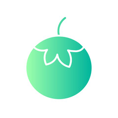 tomato gradient icon