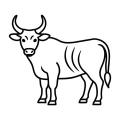 cow isolated on white