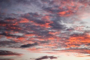 Beautiful clouds. Dramatic majestic scenery sunset. Sky with clouds in Sunrise sky light background. Sunrise with clouds in various shapes. Sunset background