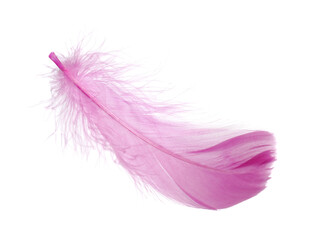 One fluffy pink feather isolated on white