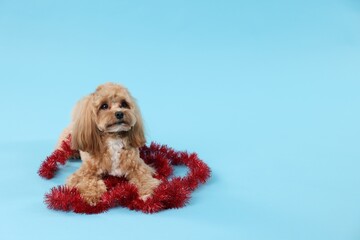 Cute dog with shiny tinsel on light blue background. Space for text