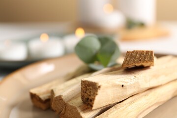Palo santo sticks on plate, closeup view