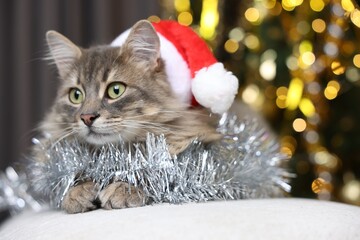 Cute cat in Santa hat with shiny tinsel on pouf against blurred lights, closeup. Christmas atmosphere