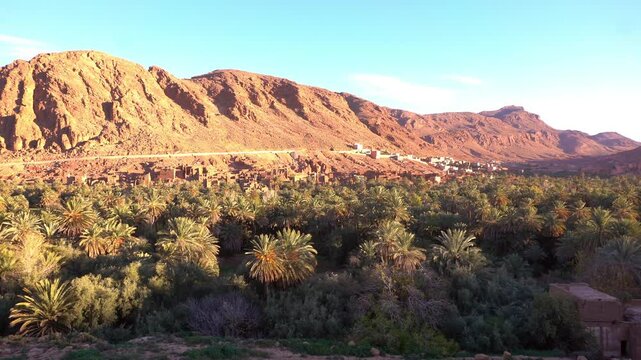 natural oasis with palm plantation in Dra Dades Valley Morocco , drought and life in arid and hot environments with scarcity of water, 
oasis in  Morocco desert