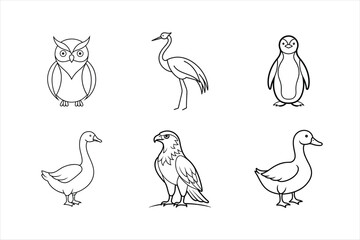 Wildlife Birds Illustrations Set.