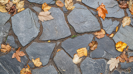 Obraz premium Fallen leaves scattered on stone path create serene and inviting atmosphere, perfect for peaceful stroll or reflection
