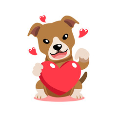 Vector cartoon valentine cute pit bull terrier dog holding a big red heart for design.