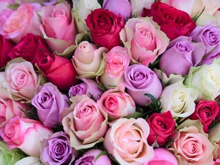 Big beautiful bouquet of multicoloured roses. Full frame
