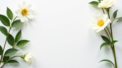 Obraz premium Elegant White Flowers Frame a Blank Space for Text or Design