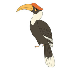 bird