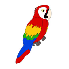 bird